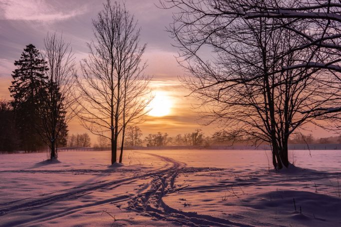 Winterlandschaft mit schneebedecktem Boden, Bäumen und einem Sonnenuntergang in sanften Farben.