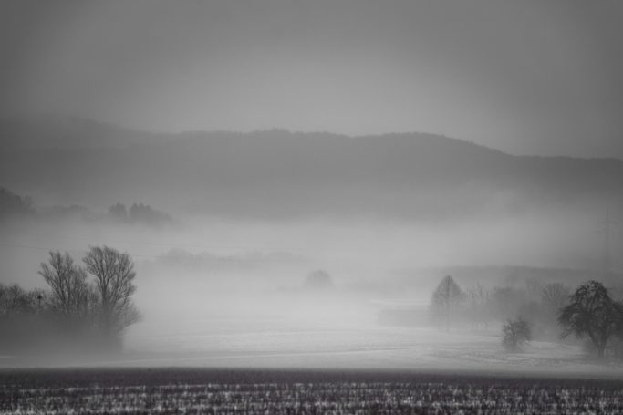 Nebelige Landschaft mit sanften Hügeln und vereinzelten Bäumen im Vordergrund.